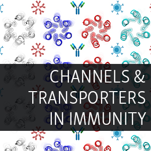 Special immunity thesis 02 picture