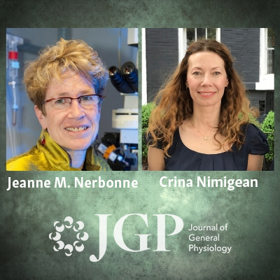 headshots of J.Nerbonne and C.Nimigean