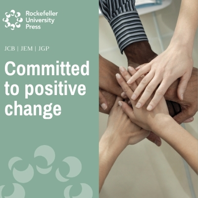 image of diverse hands