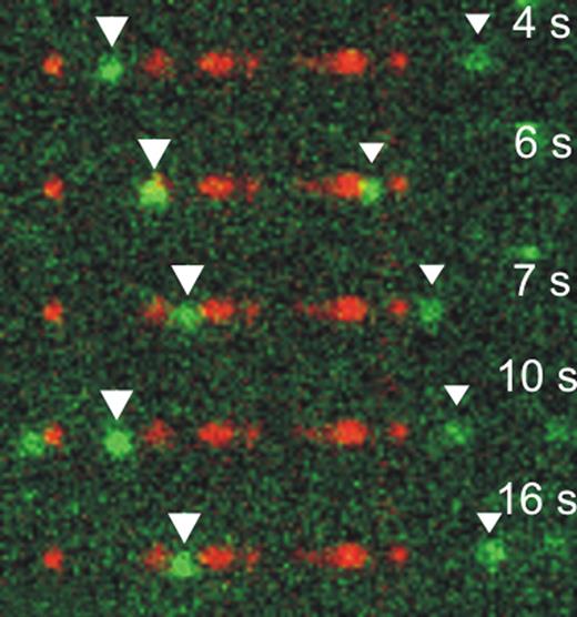 Graphic. Refer to the image caption for details.