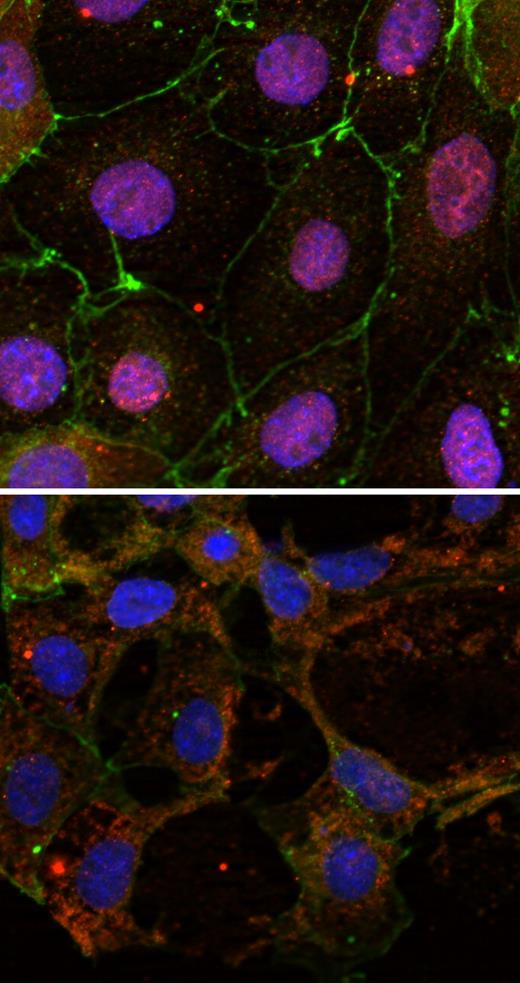 Graphic. Refer to the image caption for details.