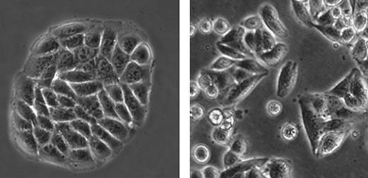 Graphic. Refer to the image caption for details.