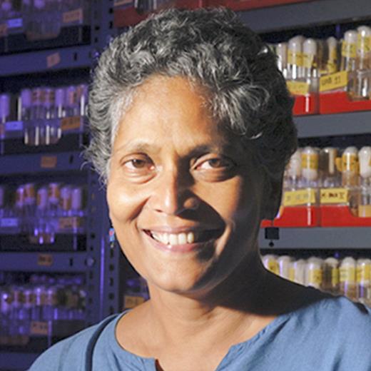 At the Tata Institute for Fundamental Research (TIFR, Mumbai) Dept. of Biological Sciences, VERONICA RODRIGUES (Professor, left) studies how sensory neurons form and make connections in the Drosophila olfactory nervous system. SHUBHA TOLE (Associate Professor, right) is studying the role of transcription factors in the development of the mouse cortex and amygdala.
