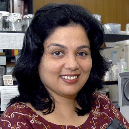 At the Tata Institute for Fundamental Research (TIFR, Mumbai) Dept. of Biological Sciences, VERONICA RODRIGUES (Professor, left) studies how sensory neurons form and make connections in the Drosophila olfactory nervous system. SHUBHA TOLE (Associate Professor, right) is studying the role of transcription factors in the development of the mouse cortex and amygdala.