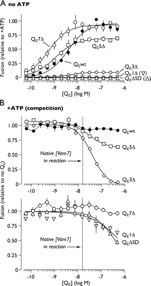 Figure 2. Fusion driven by truncated Qc-SNAREs. (A) Homotypic vacuole fusion driven by truncated Qc proteins in priming bypass reactions lacking ATP. Solid lines show best-fit sigmoidal dose-response curves. Error bars indicate mean ± SEM (n ≥ 4 experiments). (B) Competitive inhibition by truncated Qc-SNAREs. Vacuole fusion was driven by ATP, Sec17, and Sec18 in the presence of Qc proteins. Solid lines represent best-fit dose-inhibition curves. The concentration of native Qc (Vam7) in a standard in vitro fusion reaction is indicated (Thorngren et al., 2004). Extended dose-response curves for Qc1Δ and QcΔSD are shown in Fig. S1. Fit parameters are presented in Table I. Relative fusion value of 1 equals 3.3 fusion units. Error bars span ±1 SEM (n ≥ 4 experiments).