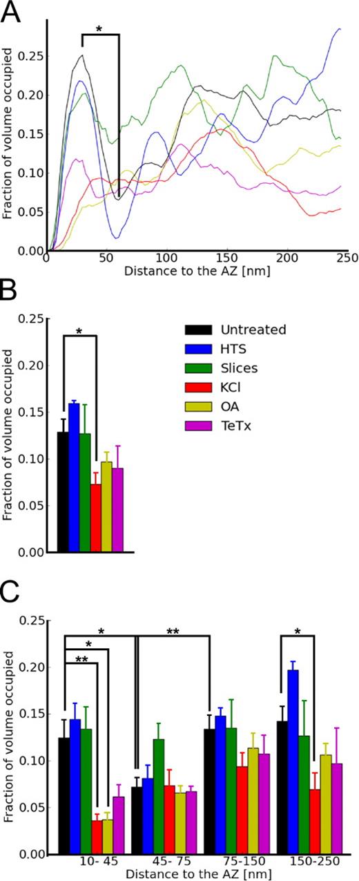 Figure 3. Synaptic vesicle distribution within presynaptic terminals depicted as the fraction of cytoplasmic volume occupied by vesicles. (A) Representative traces of individual synapses. (B) Vesicle concentration for the first 250 nm from the AZ. (C) Vesicle concentration versus distance to the AZ. Plots show mean values and SEM (error bars). The confidence values are indicated by * and ** for P < 0.05 and P < 0.01, respectively. The number of presynaptic terminals analyzed for each treatment is shown in Table S1.