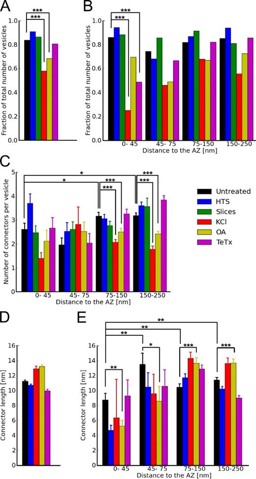 Figure 4. Synaptic vesicle connectors. (A) Fraction of connected vesicles for the first 250 nm from the AZ. (B) Fraction of connected vesicles versus distance to the AZ. (C) Number of connectors per connected vesicle versus distance to the AZ. (D) Connector length for the first 250 nm from the AZ. (E) Connector length versus distance to the AZ. Plots show mean values and SEM (error bars). The confidence values are indicated by *, **, and *** for P < 0.05, P < 0.01, and P < 0.001, respectively. The numbers of vesicles (A and B) and connectors (C–E) analyzed for each treatment are shown in Table S1.