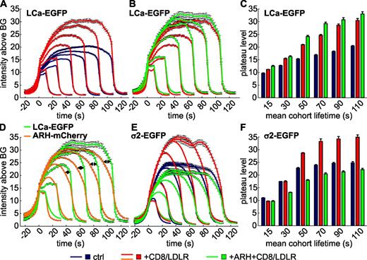 Figure 8. CD8/LDLR and adaptors affect CCP size. TIR-FM time-lapse movies have been recorded under various conditions, following the indicated fluorescently tagged protein. CCP cohorts of given lifetimes have been binned and their intensity profiles (A, B, D, and E) determined as a measure for CCP growth. The number of CCP trajectories for each condition, which ranges from 626 to 20,000, is shown in Table S1. The maximum plateau level of the LCa-EGFP (C) or σ2-EGFP (F) is plotted against the mean cohort lifetime for the indicated cells.