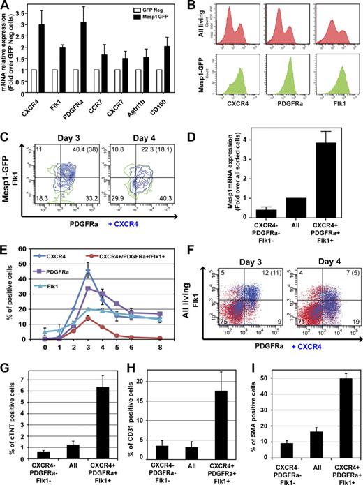 Figure 3. Isolation and functional characterization of early MCPs using a combination of monoclonal antibodies. (A) Cell surface marker expression in Mesp1-GFP–expressing cells as measured by real-time RT-PCR in isolated Mesp1-GFP–expressing cells at D3. Results are normalized for the mRNA expression in GFP-negative cells. n = 3. (B) Detection of CXCR4, PDGFRa, and Flk1 by FACS at D3 in all living cells (top) and in the Mesp1-GFP population (bottom). (C) Multicolor FACS analysis gated on Mesp1-GFP cells of CXCR4, PDGFRa, and Flk1 expression at D3 and D4. (D) Enrichment of Mesp1 expression in TP cells at D3 as measured by RT-PCR on FACS-isolated cells. Results are normalized for the relative transcript expression in all sorted cells. n = 3. (E) Temporal expression of CXCR4, PDGFRa, and Flk1 during ESC differentiation as detected by FACS. n = 2. (F) Combined detection of CXCR4, PDGFRa, and Flk1 expression at D3 and D4 in all living cells. (C and F) Percentages of cells in each quadrant are shown, and the percentage of CXCR4/PDGFRa/Flk1 TP cells are shown in parentheses. (G–I) Cardiac (G), endothelial (H), and SMC (I; also see Fig. S1 C) differentiation of TP cells as performed in Fig. 2 (A–C). n = 4. Error bars indicate means ± SEM.