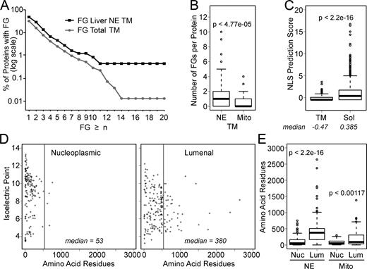 Figure 7. FGs are enriched in NETs. Analysis of a dataset of 199 predicted NETs identified by proteomics of liver NEs revealed shared characteristics consistent with the findings described here. A list of mitochondrial proteins separately identified by proteomics served as a control. In all cases, the hypothesis that two sets were different was tested using the Kolmogorov-Smirnov test to generate listed P-values. These are also given along with D-values in Table S2. (A) To determine FG sequences that could potentially interact with Nups, NET sequences minus their predicted transmembrane-spanning segments were compared with all predicted transmembrane proteins coded by the rat genome similarly modified. The percentage of total proteins in each set that had “n” or more FGs was plotted using a logarithmic scale. (B) The data generated from the analysis in A are plotted using Tukey’s box plots, but comparing the NETs to mitochondrial proteins. Very few FGs were observed in mitochondrial transmembrane proteins compared with NETs. (C) The scores for NLS predictions of NETs (TM) and soluble (Sol) NE proteins are plotted using Tukey’s box plots. The median NLS score is <0 for the NETs. (D) The predicted sizes and isoelectric points of lumenal and nucleoplasmic sequences were calculated and plotted. A gray line marks the predicted size limit of the peripheral channels of the NPC. Nucleoplasmic sequences tended to be much smaller and more basic than lumenal sequences. (E) The values for rodent liver NETs and mouse mitochondrial proteins were plotted using Tukey’s box plots with median (central line), two quartiles above and below (box), and third quartile (error bars) shown. A large difference in the median value for the number of amino acid residues is observed between nucleoplasmic (Nuc) and lumenal (Lum) populations for the NETs, but mitochondrial transmembrane proteins exhibit similar median values between the two populations.