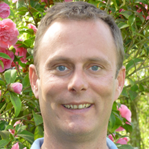 Graphic. Refer to the image caption for details.