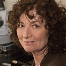 Graphic. Refer to the image caption for details.