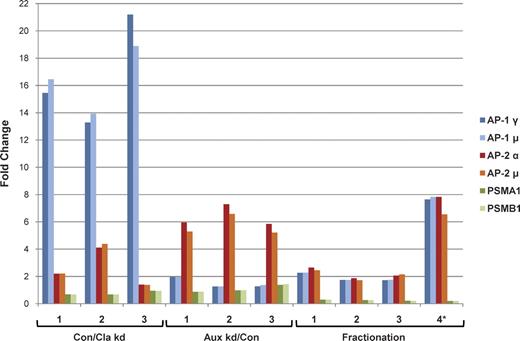 Figure 2. CCV proteins and contaminants have distinct profiles. The fold changes of selected CCV proteins (AP-1 and AP-2 subunits) and copurifying proteasomal contaminants (PSMA1 and PSMB1) are shown for 10 SILAC datasets. Proteins that are subunits of the same protein complex have closely correlated profiles. Con/Cla kd 1–3: Triplicate repeats of control versus clathrin-depleted. Aux kd/Con 1–3: Triplicate repeats of auxilin-depleted versus control. Fractionation 1–3: Triplicate repeats of improved versus original CCV preparation. Fractionation 4*: A further comparison based on fractionation properties of CCVs (see Fig. S1, D and E).