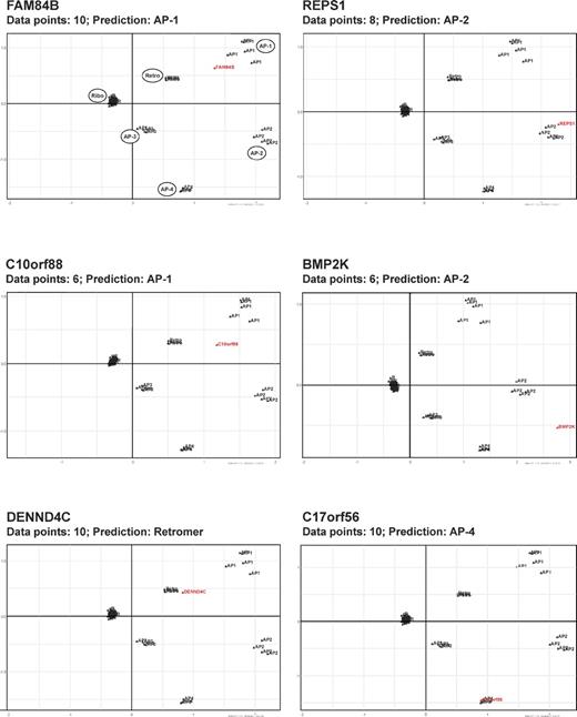 Figure 4. Automated PCA of sample CCV proteins. Automated PCA was performed in the context of a reference set (85 proteins belonging to six protein complexes: AP-1, AP-2, AP-3, AP-4, retromer, and ribosomes; Table S1). For each candidate protein, PCA of the reference set was performed using only those datasets in which the candidate protein was represented. The candidate protein was then projected onto the corresponding PCA plot, and the nearest reference cluster was determined. The figure shows the projections on the first two principal components for six sample proteins. The relative positions of reference clusters change with different combinations of available data, but in each case, all reference proteins are correctly grouped into the expected complexes. Candidate proteins are shown in red and reference proteins in black.
