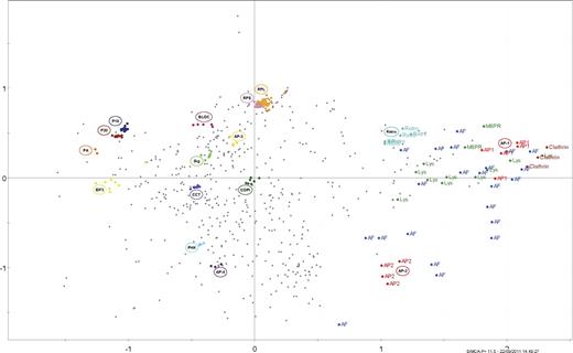 Figure 3. PCA reveals clustering of CCV and non-CCV proteins into functional groups. The SILAC data were decorrelated by PCA. The figure shows the projections of the data on the first (x axis) and second (y axis) principal components (scores plot). Each scatter point represents a protein. Distance from the origin of the plot indicates how strongly a protein is affected under the experimental conditions. Close proximity of proteins indicates similar profiles. Only the 688 proteins common to all 10 SILAC sets were analyzed. Subunits of a known protein complex are shown in the same color. Clathrin heavy and light chains, AP-1, and AP-2 form distinct clusters that and are clearly separated from the bulk of the other proteins. Known CCV coat proteins are annotated as AF (accessory factors). Mannose 6-phopshate receptors (M6PR) and lysosomal enzymes (Lys) are established cargo molecules of intracellular CCVs. A fully annotated version of this plot is shown in Fig. S3. Retro, retromer; RPS and RPL, small and large ribosomal subunits; COPI, COPI coat; CCT, CCT chaperone; Sig, signalosome; BLOC, BLOC-1; EIF3, translation initiation factor 3; PHK, phosphorylase kinase. P19, P20, PA: 19S, 20S, and 11S subcomplexes of the proteasome.