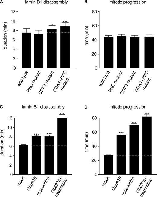 Figure 3. CDK1 and PKC kinase activities drive mitotic lamin B1 disassembly. (A) HeLa cells stably expressing H2B-mCherry were transiently transfected with mutated GFP–lamin B1 reporters (see also Fig. 1), and mean mitotic lamin B1 disassembly was quantified as described in Fig. 2. (B) Mean mitotic durations of cells quantified in A. Mitotic progression in the transfected H2B-mCherry cells took longer than in the stable GFP–lamin B1– and H2B-mCherry–coexpressing cells in D. (C) HeLa cells stably coexpressing H2B-mCherry and GFP–lamin B1 were synchronized by double thymidine arrest. Approximately 30–60 min before mitotic entry, cells were treated with DMSO (mock), 2 µM Gö6976 (PKC inhibition), 50 µM roscovitine (CDK1 inhibition), or a combination of 2 µM Gö6976 and 50 µM roscovitine, and mean lamin B1 disassembly was determined as in A. (D) Mean mitosis durations of cells quantified in C. The data represent the mitotic events from at least three replicate experiments. n > 100 for each condition with *, P < 0.05 and ***, P < 0.0001 compared with control (U test; Table S1 and Table S2). Dotted lines indicate mean control timing. Error bars indicate 95% confidence intervals.