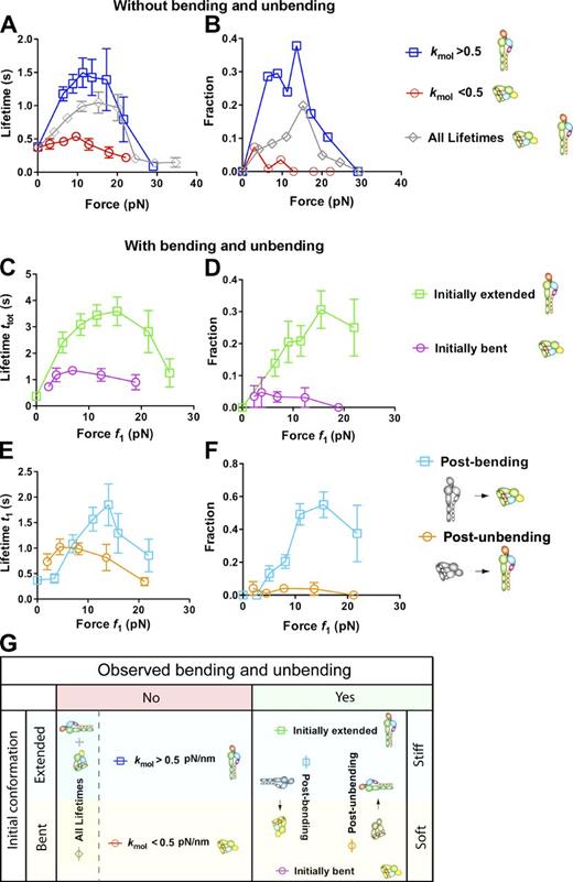 Figure 5. Effects of initial conformations of αLβ2 and subsequent changes thereof on ligand dissociation under force. (A and B) Short (<10 s) lifetime means (A) and long (>10 s) lifetime fractions (B) of αLβ2–ICAM-1 bonds without switching (ttot = t1; ◇) versus force (f0 = f1; data obtained from Chen et al., 2010). These were further segregated into two groups, based on whether the molecular stiffness kmol was greater or less than 0.5 pN/nm. kmol was measured from the position-ramp phase using the stretch method shown in Fig. S2 A. Error bars represent SEM of >40 measurements. (C and D) Dependence on postswitch force (f1) of total (ttot) short (<10 s) lifetime mean (C) and long (>10 s) lifetime fraction (D) in Mn2+ of ICAM-1 bonds with initially extended or bent αLβ2 before loading, which underwent a bending or unbending conformational change after loading before dissociation. (E and F) Postbending and postunbending (t1) short (<10 s) lifetime mean (E) and long (>10 s) lifetime fraction (F) of αLβ2–ICAM-1 bonds versus postswitch force (f1) in Mn2+. Fractions in B, D, and F refer to the percentages of events with a lifetime >10 s in all lifetime measurements. (G) Summary of αLβ2 conformations and conformational changes in different groups, which are also depicted along side of B, D, and F with legends to help data interpretation. Error bars represent SEM of >50 measurements.