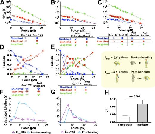 Figure 6. Effects of bending and unbending of αLβ2 on its dissociation from ligand. (A–E) Force-dependent reciprocal off rates (A–C) or associated fractions (D and E) of the short-, intermediate (inter.)-, and long-lived states evaluated from simultaneously fitting the three-state model to the survival frequency and rupture probability versus lifetime data (Fig. S4) without switching (A) or postswitching (B) measured in Mn2+. All of these reciprocal off rates are superimposed in C. Each set of off rate versus force data in A–C is fitted by the Bell model (dashed lines), and the parameters are summarized in Table S1. Fractions in D and E refer to the percentages of short-, intermediate-, and long-lived states. (F and G) Comparison of calculated mean lifetimes of soft (kmol < 0.5 pN/nm; F) and stiff (kmol > 0.5 pN/nm; G) αLβ2–ICAM-1 bonds with the respective postunbending (F) and postbending (G) mean lifetime calculations. (H) Comparison of reduced χ2s of the three-state and two-state model fits to all data. P-value from the F test is shown. Error bars represent SEM.