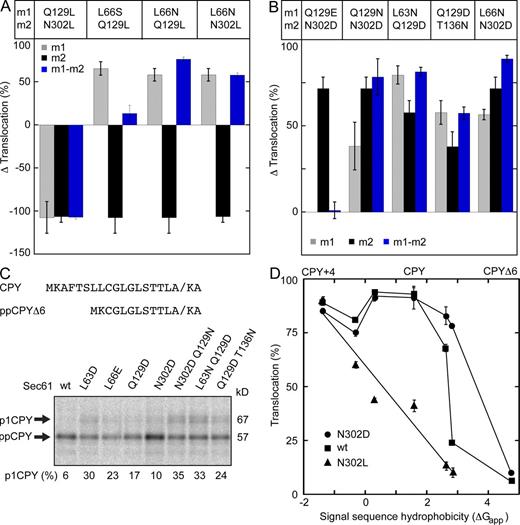 Figure 6. The polar cluster and apolar patch cooperate to regulate channel gating. (A and B) The Δ translocation value was calculated as in Fig. 2 (see Table S3 for CPY, DPAPB, and prl reporter assay values). Gray, black, and blue bars designate the Δ translocation value for the m1, the m2, and the m1m2 double mutant, respectively. (C) The signal sequence of the ppCPYΔ6-T7 reporter. Translocation of ppCPYΔ6-T7 was assayed by pulse labeling. (D) The signal sequence hydrophobicity for the tested substrates was plotted against translocation (percentage) for the following strains: N302D (circles), wild type (squares), and N302L (triangles). Percentage of translocation (C and D) and Δ translocation (A and B) are the means of two or more determinations; error bars designate individual data points or standard deviations.
