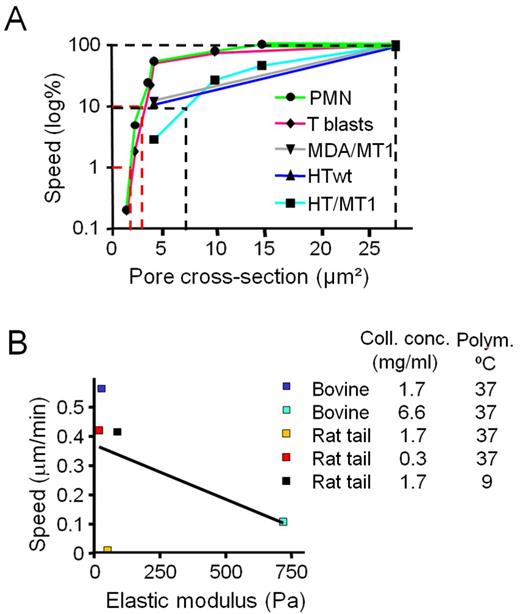 Figure 6. Correlation of migration rates with pore cross section, but not scaffold stiffness. (A) Migration rates as a function of pore cross section in mononuclear tumor cells, T-blasts, and PMN in rat tail collagen of different density in the presence of GM6001. Speed was normalized to the maximum speed in low-density matrix (0.3 mg/ml) as 100% reference, and the subtotal and absolute migration limits are indicated (dotted lines). Data points depict medians from Figs. 1 E, 2 D, 5 (B, D, and F); S2 G, and S4 A. For T-blasts and PMN, data points were included for additional pore size conditions, n = 2–4. Subtotal limits were reached at median pore cross sections of 4–7 µm2 for tumor cells and 3–4 µm2 for leukocytes, and absolute limits at 2 µm2 for leukocytes. (B) Association of migration rates and elastic modulus of 3D collagen lattices. Speed medians were used from Fig. 2 (A, C, and E) obtained for cells migrating in the presence of GM6001 in lattice conditions for which the elastic modulus was measured (compare Fig. 1 C). R2 for linear regression (black line) was 0.2339 (nonsignificant).