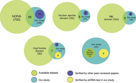 Figure 2. Comparison of our study with datasets on nuclear subcompartments. Datasets were created for each nuclear subcompartment based on online databases or recent review articles. NOPdb (Ahmad et al., 2009) was used to represent nucleolar proteins. A proteomic analysis of interchromatin granule clusters (Saitoh et al., 2004) was used to represent the nuclear speckles dataset. A PML body interactome analysis (Van Damme et al., 2010) was used to represent proteins in PML bodies. A list of Cajal body proteins from a recent review paper (Machyna et al., 2013) was used to represent proteins in Cajal bodies. A list of paraspeckle proteins from a review (Bond and Fox, 2009) was used to represent proteins in paraspeckles. Venn graphs were used to show the extent of overlapping between an available dataset (green) and our study (blue). A group of proteins that are uniquely identified in our study and have been reported by others in the literature were presented in dark blue. The other groups of proteins that are confirmed by our shRNA screen to be involved in the assembly of Cajal bodies or paraspeckles were presented in yellow. Please also see Table S2 and Table S3.