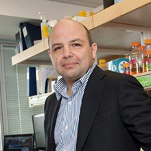 Graphic. Refer to the image caption for details.