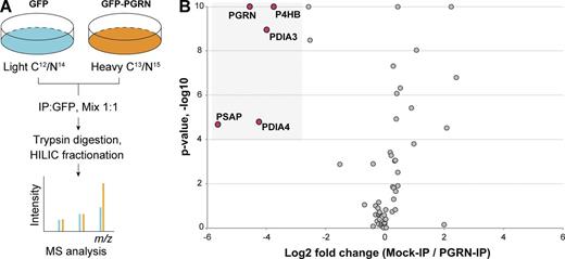 Figure 1. Proteomic screen for PGRN interactors. (A) Schematic illustration of the SILAC experiment searching for PGRN interactors. (B) Volcano plot of SILAC hits. Top hits identified in the heavy fraction are highlighted. The complete list of proteins is summarized in Table S1.