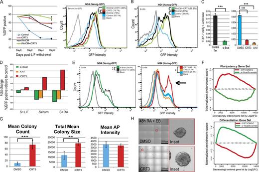 Figure 3. iCRT3 treatment allows mESCs to resist induced differentiation. (A) Flow cytometry analysis of Nanog-GFP cells maintained for 6 d (three passages) without LIF to assay the effect of iCRT3 relative to WntCM. (left) In the absence of LIF, WntCM (black) progressively promotes ESC differentiation, as suggested by loss of Nanog-GFP–positive population in contrast with cells maintained with WntCM plus iCRT3 (green) or iCRT3 alone (red). Mean ± SD of three replicates. (right) Histogram plot for Nanog-GFP levels for cells maintained without LIF for 6 d with or without WntCM and iCRT3. Representative data of three replicates. (B) Flow cytometry of mESCs treated with RA (48 h) revealed that cells maintained in WntCM with iCRT3 (green) showed reduced differentiation relative to those grown with WntCM alone (black). Representative data of three replicates. (C) Normalized TOPFlash activity shows a marked reduction in reporter expression upon treatment with si-β-cat, XAV939, or iCRT3. Mean ± SD of three replicates. (D) Bar graph depicting single representative data for fold changes in Nanog-GFP expression upon treatment with XAV939 (orange), si-β-cat (green), or specific inhibition of β-catenin/TCF–dependent transcription using iCRT3 (red) relative to controls (DMSO or Scramble siRNA). (E) Histogram plots depicting changes in Nanog-GFP levels upon loss of β-catenin by si-β-cat or XAV939, and specific inhibition of β-catenin/TCF–dependent transcriptional activity using iCRT3 during RA-induced differentiation. The arrowhead highlights the Nanog-GFP–positive cell population that resists differentiation in presence of iCRT3. Representative data of two replicates. (F) GSEA plots showing how mRNA expression in cells treated with iCRT3 or si-βcat correlates to statistically significant pluripotency and differentiation gene sets (Online supplemental material). Genes were ordered on the x axis by log2 fold changes for treatments of iCRT3 (relative to DMSO) or si-βcat (relative to control transfection) during RA-mediated differentiation. The range of GSEA curves generated by randomly selected gene sets is shown in gray (interquartile range based on 500 size-matched random gene sets). (G) Colony-forming efficiency (CFE) of cells precultured in RA with iCRT3 or DMSO for 48 h. After treatment, cells were plated in limiting dilutions back into serum plus LIF (S+LIF) without any inhibitors for an additional 48 h (please refer to schematic in Fig. S2 C). CFE quantified for mean colony count, colony area, and AP intensities. Mean ± SD of four replicates. (H) Representative resized bright-field images as well as ×10 digitally magnified insets of four replicates showing control mESCs exposed to serum plus RA with DMSO that produced fewer EBs (top) relative to the enhanced efficiency of those grown in serum plus RA with iCRT3 (bottom; please refer to schematic in Fig. S2 C). **, P < 0.01; ***, P < 0.001. FC, fold change; Txn, transfection.