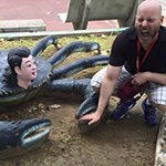 Graphic. Refer to the image caption for details.