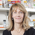 Graphic. Refer to the image caption for details.