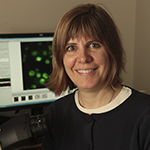 Graphic. Refer to the image caption for details.