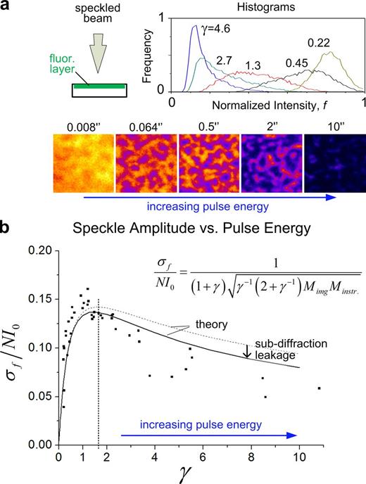 Figure 3. Optimal speckle generation. (a) In a uniform fluorescent layer, increasing γ leads initially to a spreading of the histogram, resulting in increasingly visible speckles. For γ ⪢ 1, the tendency is reversed, ultimately driving all fluorophores toward the bleached state. Labels in the bottom row correspond to laser exposure time in seconds. (b) Experimental data for the dependence of speckle amplitude on γ, obtained by performing the experiment outlined in a. Dashed curve corresponds to fitting of the model curve (Eq. 3) using the theoretically calculated baseline for the loss of contrast factor caused by imaging, Mimg = 2.12, and the instrumental factor, Minstr.\, which arises as the single-fitting parameter in the model. Both the shape and the peak position are intrinsic to the model and not dependent on fitting. The solid curve applies a γ-dependent correction to Mimg, as obtained by computer simulation to correct for subdiffraction leakage, which becomes relevant for γ ⪢ 1 (Fig. S4 d and Materials and methods).