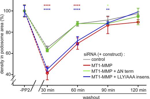 Figure 10. The LLY motif in the MT1-MMP C terminus is crucial for the recovery of regular podosome densities during podosome reformation. Statistical evaluation of podosome density (podosomes/100 µm2) during a podosome reformation assay. Parameters were evaluated in cells before disruption of podosomes (“-PP2”) or after treatment with podosome-disrupting PP2 and washout of the drug for the indicated periods, in cells treated with control siRNA (gray) or with MT1-MMP-specific siRNA (red). Subsets of MT1-MMP–depleted cells were also expressing a construct of the MT1-MMP C terminus that is not targeted by the siRNA (ΔNterm; green) or of a full-length MT1-MMP construct mutated in the LLY motif, which was rendered siRNA insensitive (LLY/AAA insens.; blue). n = 3 × 30, for cells from three different donors. Note that podosomes are mostly absent at 0 min of the washout; therefore, podosome density was not evaluated for this time point. Note also that expression of the ΔNterm constructs rescues the recovery of regular podosome density, whereas expression of the LLY/AAA mutant construct does not. Values are given as means ± SEM. *, P < 0.05; **, P < 0.01; ****, P < 0.0001. For dot diagrams of podosome numbers, podosome area, and podosome density, see Fig. S6. For specific values, see Table S2.