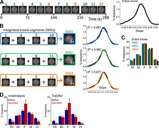 Figure 4. Growth rate analysis does not depend on determining the complete traces of CCSs. (A, left) Thumbnails represent 12 temporal sections (24 s each) of a 288-s-long fluorescence movie of a BSC-1 cell stably expressing AP2-GFP. (right) CCS growth rate distribution of the entire movie. (B, left) Integrated movie segments (IMSs) are the quadrature sum of four 24-s-long segments in which density of CCSs is approximately four times larger than the original movie. Temporal separation is maximized between the segments to minimize the number of self-overlapping clathrin spots. (right) Growth rate distributions obtained from each IMS is plotted in comparison with the distribution obtained from the entire movie (black). (C) Growth rate distributions of the IMSs and the entire movie are displayed as bar plots. (D) We tested the reproducibility of growth rate distributions using the CCS traces produced by cmeAnalysis (Aguet et al., 2013) and TraCKer (homemade particle tracking program; see online supplemental software). Changes in slope distributions upon micropipette aspiration can be observed in both datasets. Numbers of the analyzed IMSs are 25 and 64 for before and during aspiration conditions, respectively (Ncells = 7). Error bars show standard deviations. FD, fast dissolution; FF, fast formation; P, plateau; SD, slow dissolution; SF, slow formation.