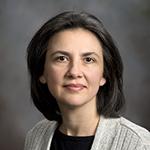 Graphic. Refer to the image caption for details.