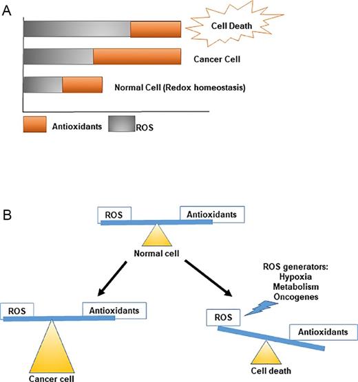 Glutathione metabolism in cancer progression and treatment resistance | Journal of Cell Biology