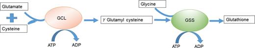 is glutathione good for cancer Although the antioxidant linked to cancer, this new research you should stop eating antioxidant-rich whole foods. Eating a balanced diet with fruits and vegetables is important. It An injectable hydrogel for synergistic