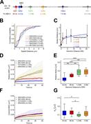 Figure 3. Spatial distance and dynamics of locus pairs situated at kilobase to megabase apart. (A) Diagram of loci on the p-arm of chromosome 19 with distances from IDR3 of 4.6 kb (IDR2), 80 kb (IDR1), 1.2 Mb (TCF3), 4.2 Mb (IDR4), 7.8 Mb (FBN3), and 20.6 Mb (PR1). (B) Cumulative probability plot showing the difference of spatial distances distribution of inter-locus distances of each pair. (C) Mean spatial distance versus genomic distance for all loci pairs. The scaling exponents γ are given by fitting the data to the power law relationship, Mean spatial distance ∝ (genomic distance)γ. The error bars of the plot represent 1 SD. (D and E) Relative MSD and relative radius of loci pairs from IDR2/IDR3 (4.6 kb), IDR1/IDR3 (80 kb), TCF3/IDR3 (1.2 Mb), to IDR4/IDR3 (4.2 Mb). n = 19 trajectories for IDR2/IDR3, n = 7 for the IDR1/IDR3 pair, n = 12 for TCF3/IDR3, and n = 11 for IDR4/IDR3. The error bars of the MSD plot represent 1 SD. (F and G) Centroid MSD and centroid radius of the indicated locus pairs. n = 19 trajectories for IDR2/IDR3, n = 7 for the IDR1/IDR3 pair, n = 12 for TCF3/IDR3, and n = 11 for IDR4/IDR3. Significance tests were performed using an unpaired t test: significant difference *, P < 0.05; **, P < 0.01; ***, P < 0.001. The error bars of the MSD plot represent 1 SD.