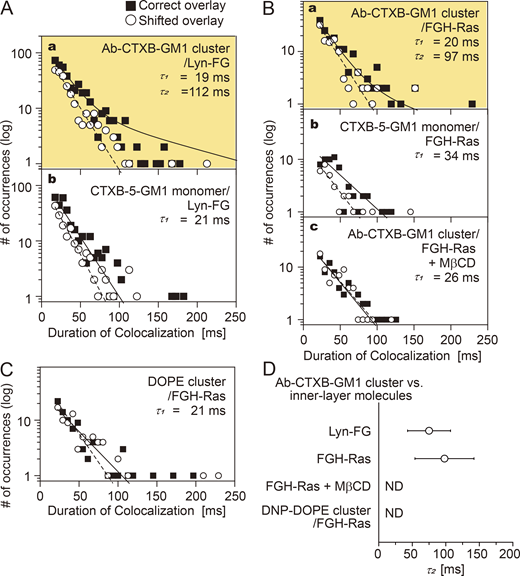 Lyn-FG and FGH-Ras were recruited at Ab-CTXB-GM1 clusters but not at CTXB-5-GM1. The distributions (histograms) for the colocalization durations are shown. See the Fig. 6 legend for details and keys. See Table S2 for statistical parameters. (A) Lyn-FG was recruited at Ab-CTXB-GM1 clusters but not at CTXB-5-GM1 (a, b). (B) FGH-Ras was recruited at Ab-CTXB-GM1 clusters but not at CTXB-5-GM1 (a, b), and its recruitment at Ab-CTXB-GM1 clusters depended on the PM cholesterol (c). (C) FGH-Ras was not recruited to DNP-DOPE clusters. (D) Summary of the bound lifetimes (τ2) of Lyn-FG and FGH-Ras at Ab-CTXB-GM1 clusters. ND, τ2 component not detected. Refer to the image caption for details.