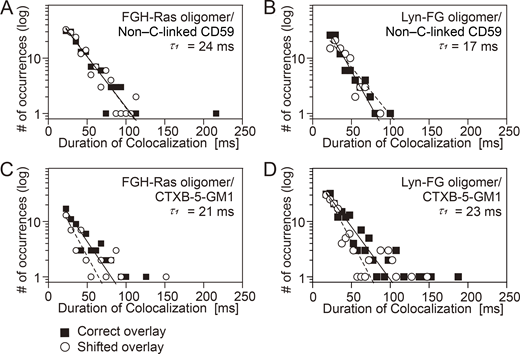 FGH-Ras oligomers and Lyn-FG oligomers induced by AP20187 addition failed to recruit non–cross-linked CD59 and CTXB-5-GM1. Shown here are the histograms for the durations in which non–cross-linked CD59 and CTXB-5-GM1 located in/on the PM outer leaflet are colocalized with FGH-Ras oligomers and Lyn-FG oligomers artificially induced in the PM inner leaflet by the addition of AP20187. See the Fig. 6 legend for details and keys. See Table S3 for statistical parameters. (A) Recruitment of non–cross-linked CD59 located in the outer leaflet at the induced FGH-Ras oligomers located in the inner leaflet. (B) Recruitment of non–cross-linked CD59 located in the outer leaflet at the induced Lyn-FG oligomers located in the inner leaflet. (C) Recruitment of CTXB-5-GM1 located in the outer leaflet at the induced FGH-Ras oligomers located in the inner leaflet. (D) Recruitment of CTXB-5-GM1 located in the outer leaflet at the induced Lyn-FG oligomers located in the inner leaflet.