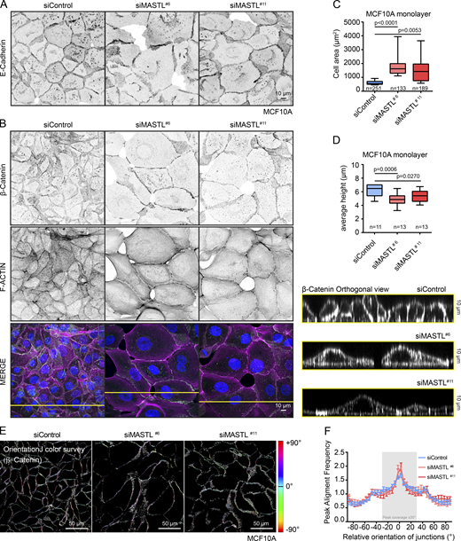 Figure 3. Refer to the image caption for details.