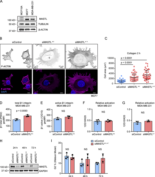 Figure S2. Refer to the image caption for details.