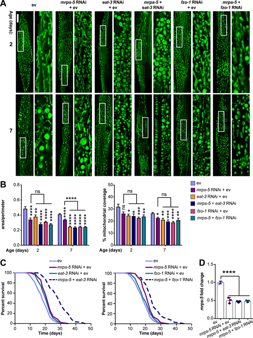 Figure 1. Refer to the image caption for details.