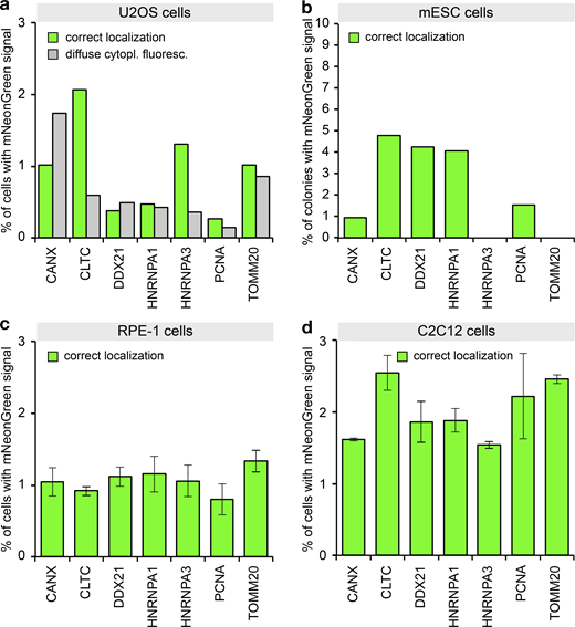 PCR tagging in different cell lines.(a) Transfection of U2OS cells using Lipofectamine 2000. After 3 d, the cells were analyzed using HOECHST staining and live-cell imaging. Data from one representative experiment are shown. Additional data are shown in Data S1. (b) Electroporation of mESCs with PCR cassettes for tagging the indicated genes. After 3 d, the cells were fixed using paraformaldehyde and analyzed. We counted microcolonies that have at least one positive cell. Note that for these cells, we did not quantify cells with diffuse cytoplasmic fluorescence, since paraformaldehyde fixation before imaging leads to an increase in cellular background fluorescence. This prevented the detection of the weak cytoplasmic diffuse mNeonGreen fluorescence. Data from one representative experiment are shown. Additional data are shown in Data S1. (c) Electroporation of RPE-1 cells. Cells were analyzed 2 d later. Experimental setup similar to b. Data from three replicates are shown. Error bars indicate SD. (d) Electroporation of C2C12 cells. Cells were analyzed 2 d later. Experimental setup similar to b. Data from two replicates are shown. Error bars indicate SD. Refer to the image caption for details.