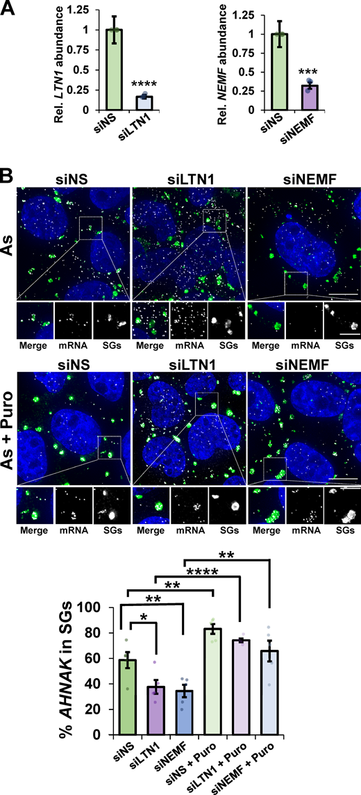 Figure 4. Refer to the image caption for details.