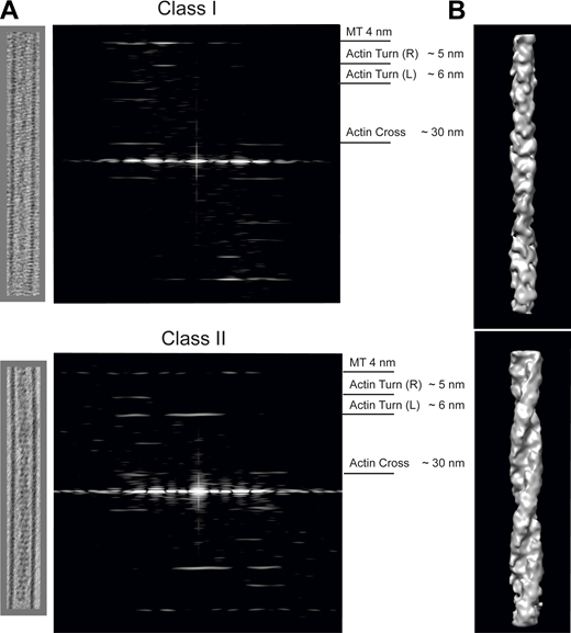 Figure 5. Refer to the image caption for details.