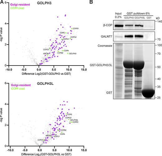 Figure 1. Refer to the image caption for details.