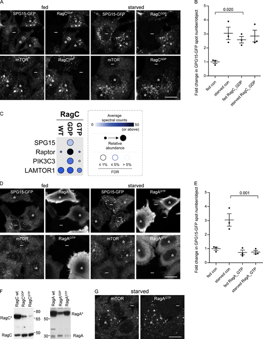 Figure 5. Refer to the image caption for details.