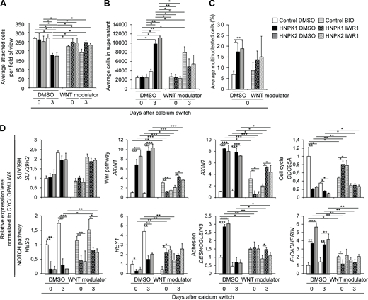 Increased Wnt signaling is a pathomechanism in HNPK.(A) Quantification of attached cells with Wnt modulation (BIO: Wnt activation in control cells; IWR1: Wnt suppression on HNPK cells) during differentiation (n = 2 independent experiments on three different nasal dog cell isolates in triplicate). (B) Quantification of cells in supernatant of cultures in A. (C) Quantification of multinucleated cells of cultures in A (900–1,000 cells/dog). (D) RT-qPCR of selected gene products relative to control DMSO set to 1 (n = 2 independent experiments on three different dog cell isolates in triplicate). Data are mean ± SEM. *P < 0.05; **P < 0.01; ***P < 0.001. Normal distribution was excluded using the Anderson-Darling P value normality distribution with P < 0.05. P values were calculated on pooled values per data point and cell isolate using with Kruskal-Wallis test with Dunn post hoc test. See Table S2 for a compilation of P values. Refer to the image caption for details.