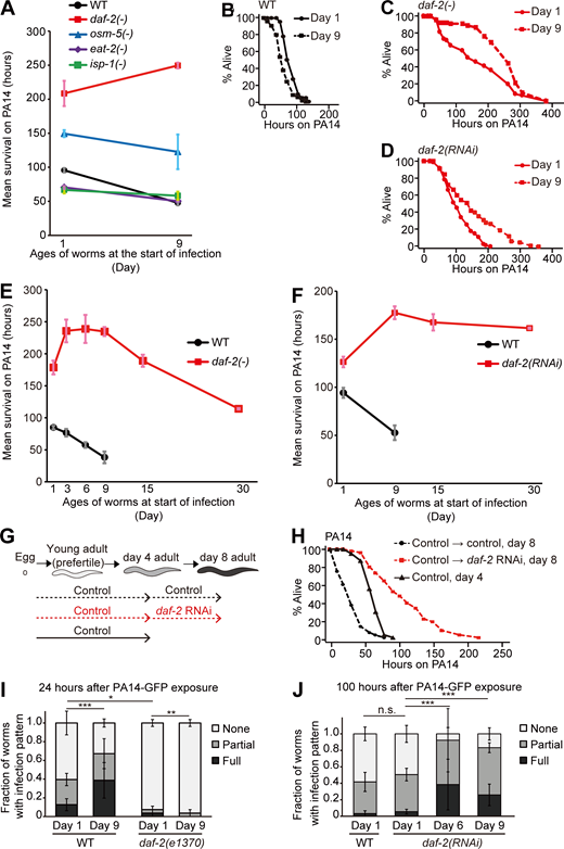 Figure 1. Refer to the image caption for details.
